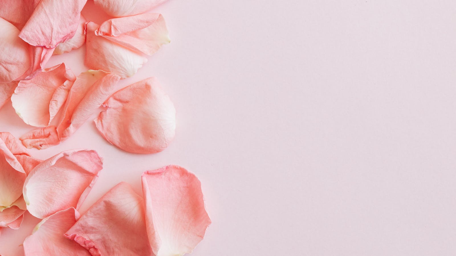 Aceite esencial de árbol de té para el cuidado de la piel