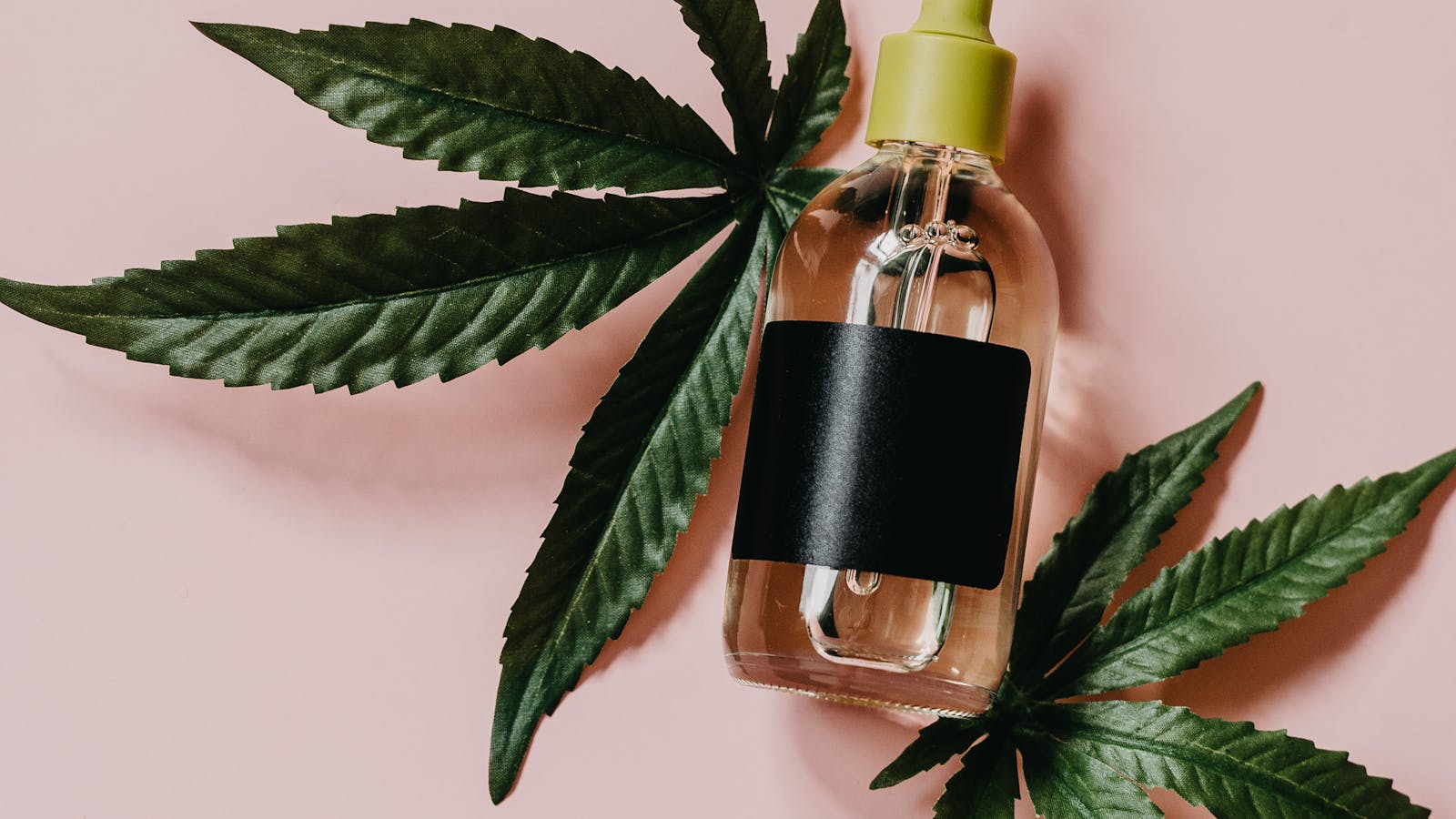 Aceite de CBD con hojas de cannabis para cosmética natural